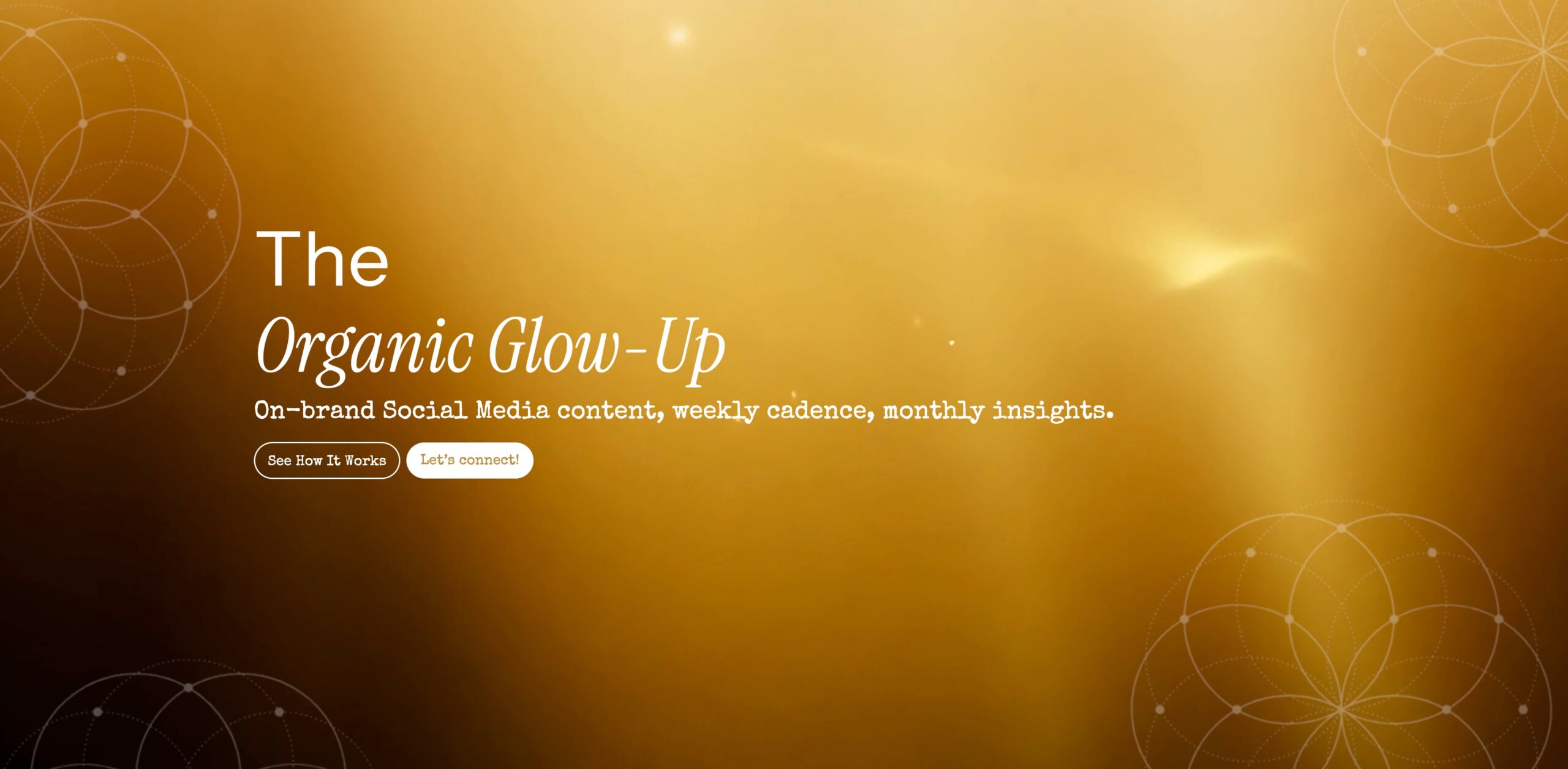 Backed by Women Website